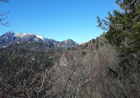 Cima Mughera e Baita Segala - foto 8