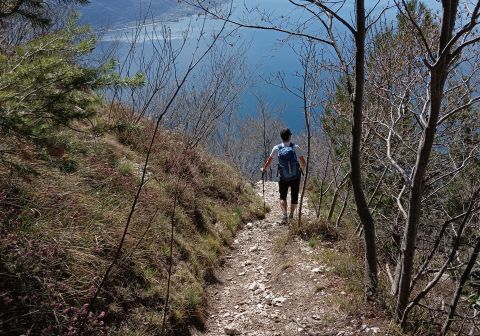 Cima Mughera e Punta Larici - Senter de Le Greste - foto 17