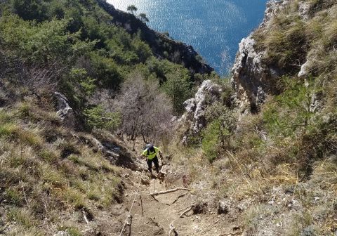 Cima Mughera e Punta Larici - Senter de Le Greste - foto 12