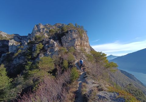 Cima Mughera e Punta Larici - Senter de Le Greste - foto 10