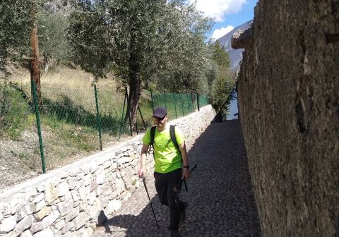 Cima Mughera e Punta Larici - Senter de Le Greste - foto 20
