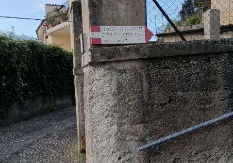 Cima Mughera e Punta Larici - Senter de Le Greste - foto 2