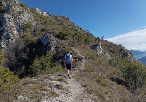 Cima Mughera e Punta Larici - Senter de Le Greste - foto 13