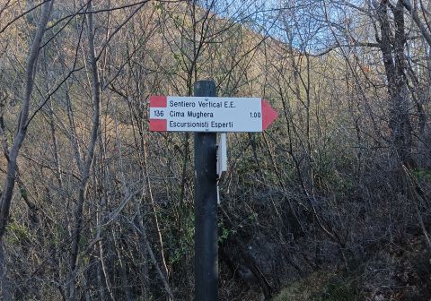 Cima Mughera e Punta Larici - Senter de Le Greste - foto 8