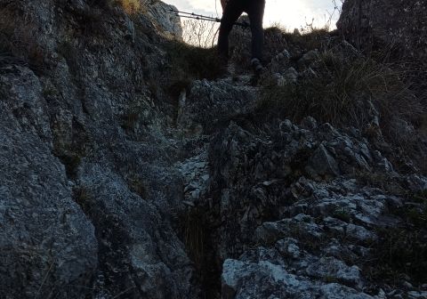 Cima Mughera e Punta Larici - Senter de Le Greste - foto 4