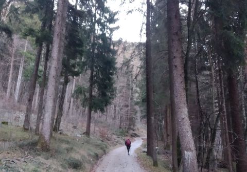 Cima Oro - foto 2