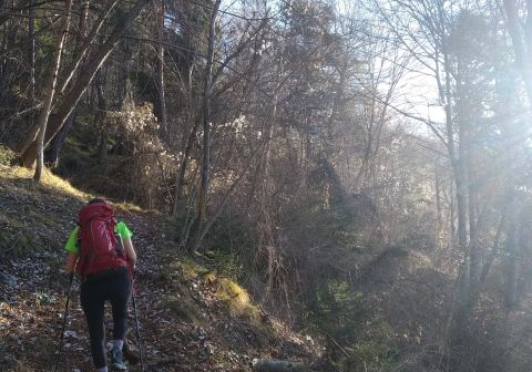 Cima Oro - foto 3