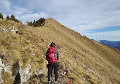 Cima Oro - foto 11