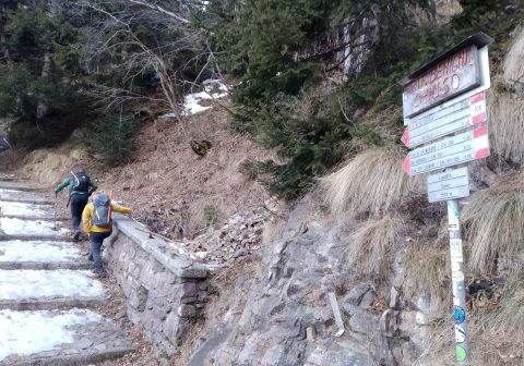 Cima Piazzotti invernale - Rifugio Benigni_0