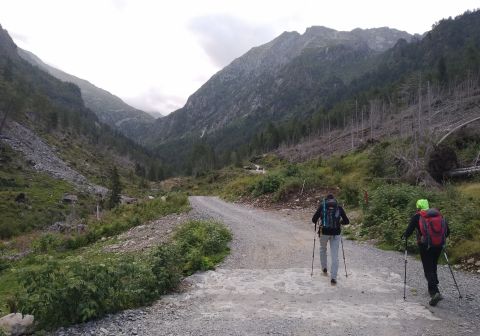 Cima Plem - foto 1