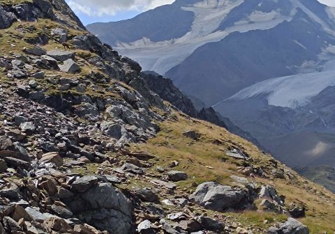 Cima Rossa di Martello - foto 18