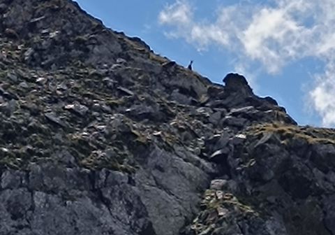 Cima Rossa di Martello - foto 21
