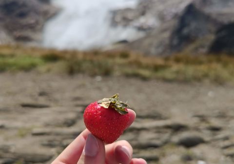 Cima Rossa di Martello - foto 22