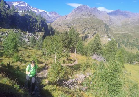 Cima Rossa di Martello - foto 4