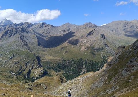 Cima Rossa di Martello - foto 16