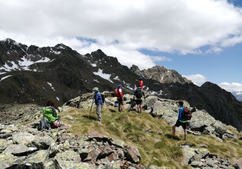 Cima Rovaia - foto 17