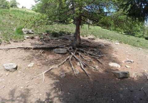 Cima Rovaia - foto 20