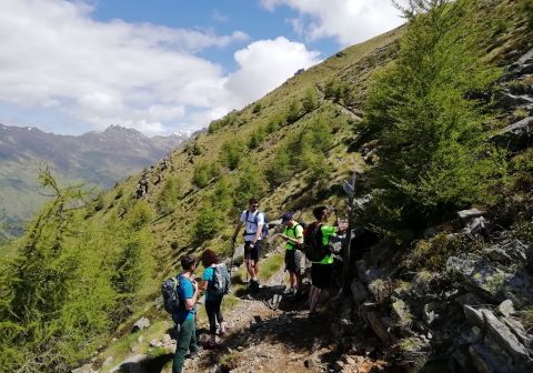 Cima Rovaia - foto 10