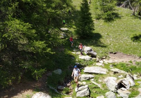 Cima Rovaia - foto 21