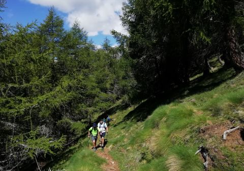Cima Rovaia - foto 5
