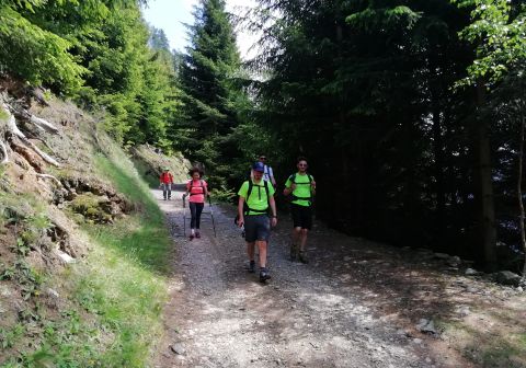 Cima Rovaia - foto 22