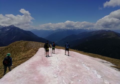 Cima Rovaia - foto 19