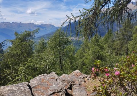 Cima Sablunera da Isola di Cevo - foto 22