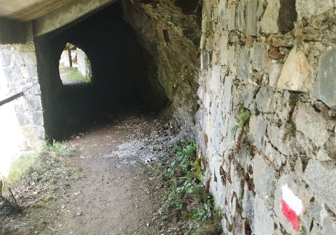 Cima Sablunera da Isola di Cevo - foto 21