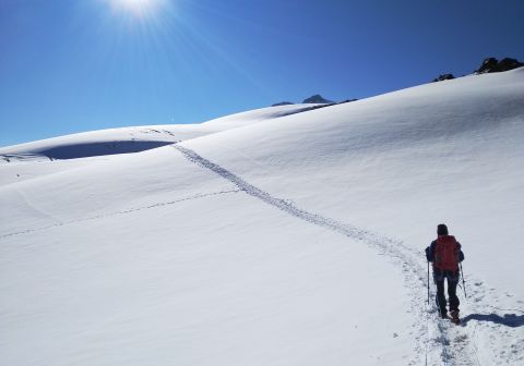La traccia in comune con la normale al Cevedale