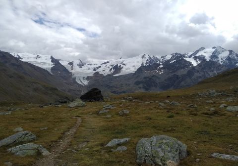 Ghiacciaio dei forni e parte delle tredici cime