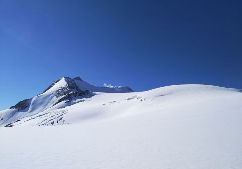 Cevedale, Zufallspitze e vedretta della Forcola