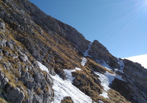 Cimon della Bagozza - Canale del Lupo - Invernale - foto 13