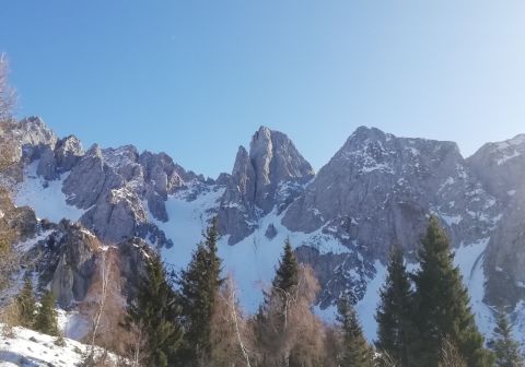 Cimon della Bagozza - Canale del Lupo - Invernale - foto 19