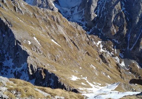 Cimon della Bagozza - Canale del Lupo - Invernale - foto 16
