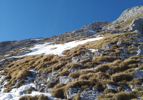 Cimon della Bagozza - Canale del Lupo - Invernale - foto 17