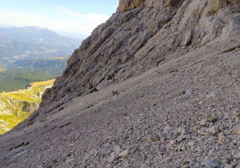 Corno Grande - Vetta Orientale - Via Ricci - foto 7