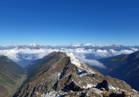 Corno Stella - foto 11