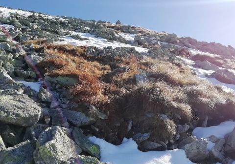Corno Stella - foto 6