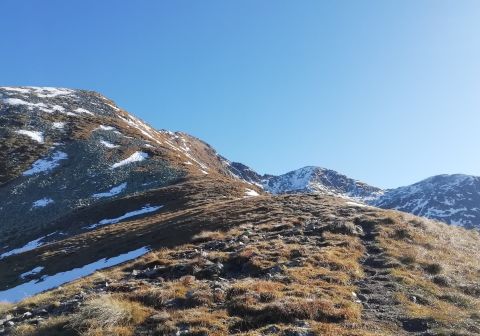 Corno Stella - foto 4