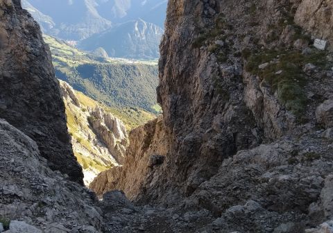 Dopo il salto del gatto