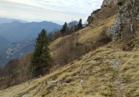 Da Vaiale alla Capanna Tita Secchi - Passo delle Portole - Maniva - foto 24