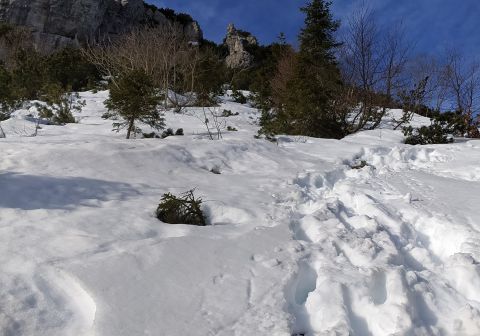 Da Vaiale alla Capanna Tita Secchi - Passo delle Portole - Maniva - foto 8