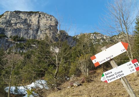 Da Vaiale alla Capanna Tita Secchi - Passo delle Portole - Maniva - foto 5
