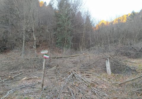 Da Vaiale alla Capanna Tita Secchi - Passo delle Portole - Maniva - foto 2