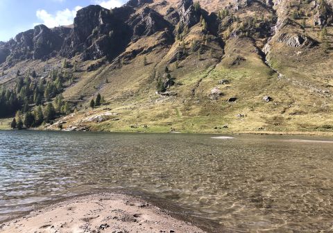 Diga del Gleno - foto 14