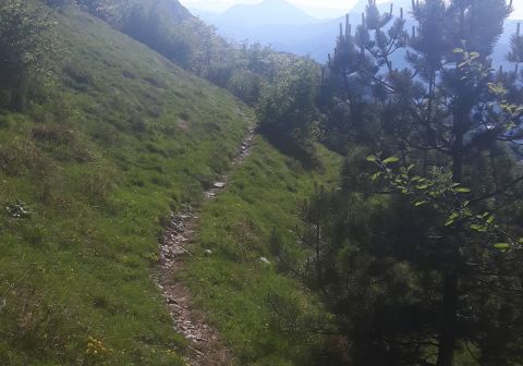 Ferrata Nasego - foto 3