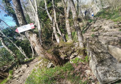 Ferrata Ovest - Pietra di Bismantova - foto 23