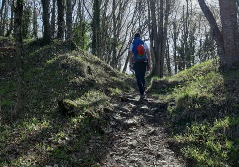 Ferrata Ovest - Pietra di Bismantova - foto 18