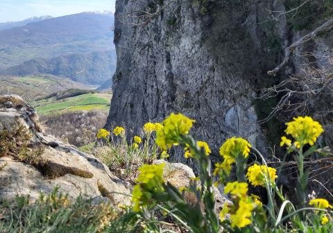 Ferrata Ovest - Pietra di Bismantova - foto 17