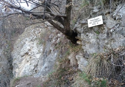 Ferrata Rio Secco - Cadino - foto 11